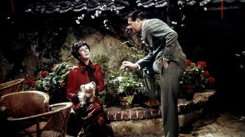 Gypsy - Königin der Nacht Bild 3