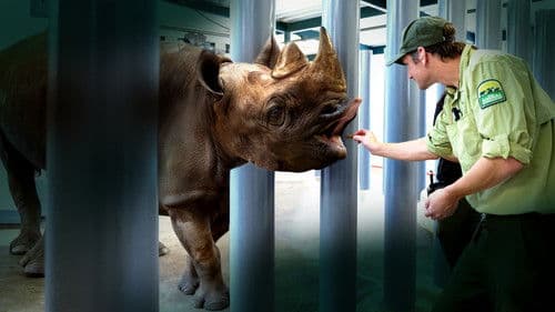 Die Magie von Disney's Animal Kingdom Bild 8