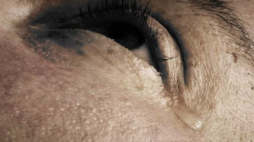 Danse Macabre Bild 4