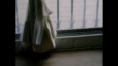 Nunca Escuche Sus Inicios Bild 5