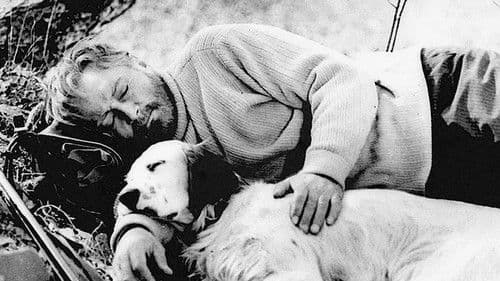 Belyy Bim Chernoe ukho Bild 2