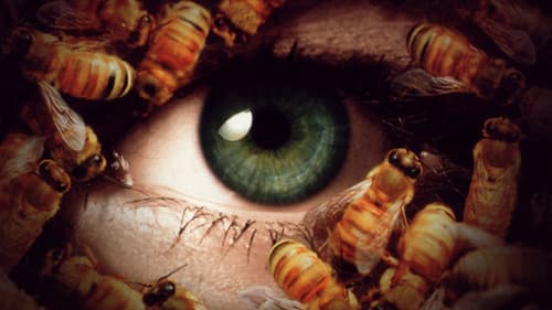 Candyman 3 - Der Tag der Toten Bild 3