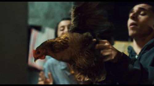 Laissez-moi danser Bild 1