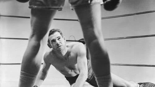 Ring frei für Stoker Thompson Bild 5