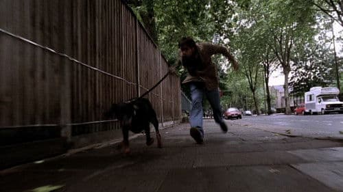 My Wrongs #8245–8249 & 117 Bild 1