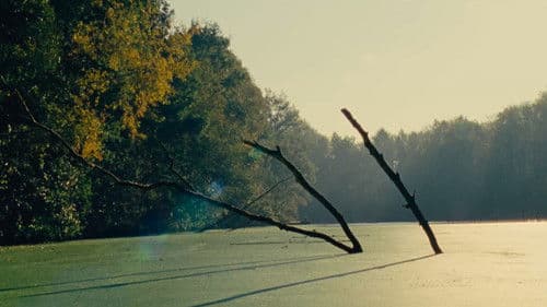 Garçon au diable Bild 3