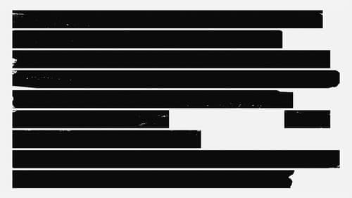 Cold Case Hammarskjöld Bild 7