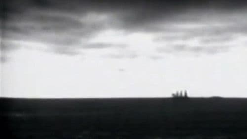 Águila blanca Bild 1