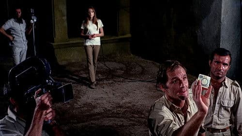 Das wilde Auge Bild 1