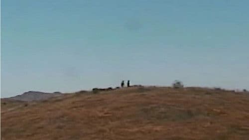 Bountiful Triumph Bild 2