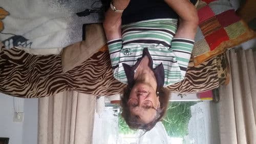 3 Filme gegen Rechts Bild 1