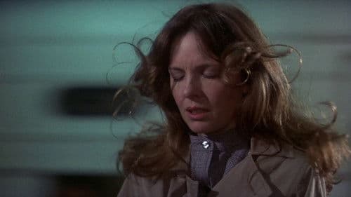 Auf der Suche nach Mr. Goodbar Bild 4