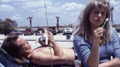 River of Grass Bild 8