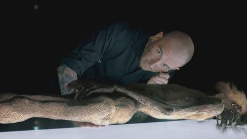 Strangest Things Bild 3