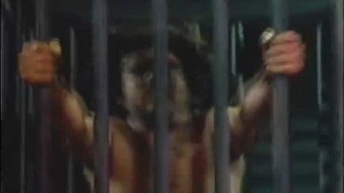 The Exotic Ones Bild 4