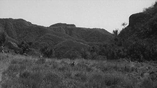 Hinter feindlichen Linien Bild 4