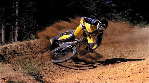 Strength in Numbers - Zusammen sind wir Stark Bild 1