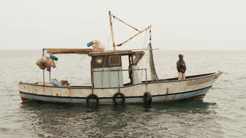 Das Schwein von Gaza Bild 3