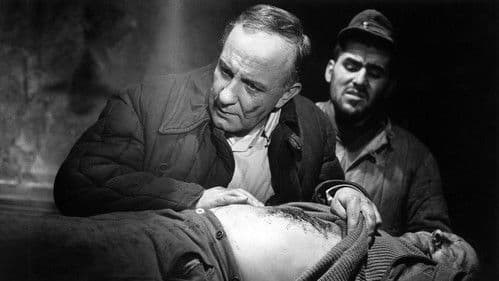 Der Arzt von Stalingrad Bild 3