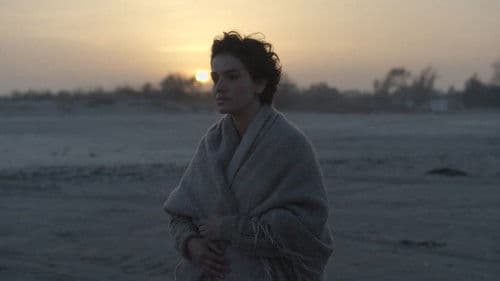 Miracolul din Tekir Bild 1