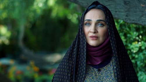 نیمه شب اتفاق افتاد Bild 1