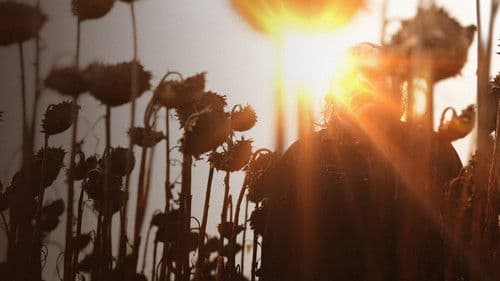 Texas Chainsaw Massacre Bild 2