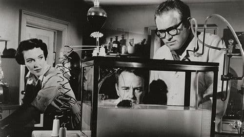 Donovans Hirn Bild 2