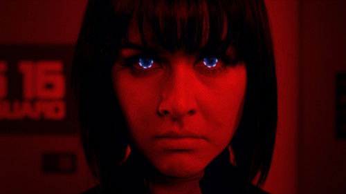 Jurassic Expedition Bild 4