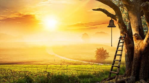 Фермата Bild 1