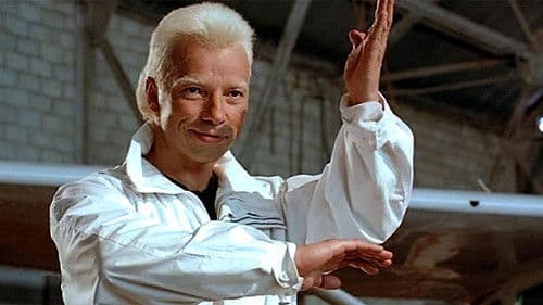 Karate Tiger 3 - Blutsbrüder Bild 6