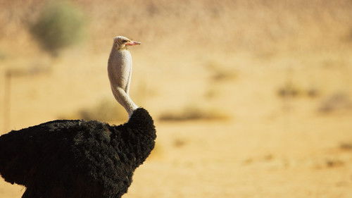 Planet der Liebe Bild 8