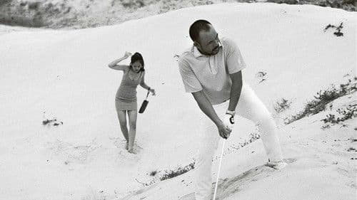 Một Khu Đất Tốt Bild 1