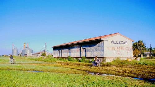 Regreso a Coronel Vallejos Bild 4