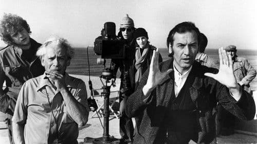 Der Stand der Dinge Bild 4