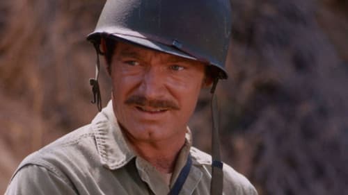 Carter's Army Bild 3