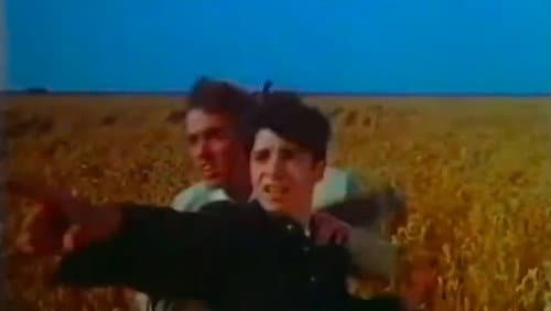 The Diamond Brothers Bild 1