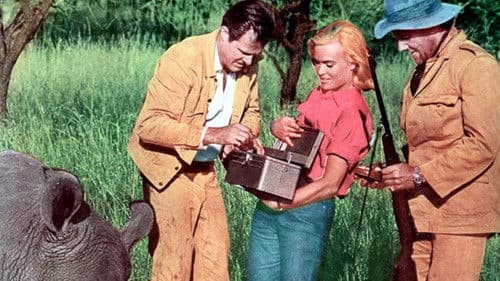 Safari zur Hölle Bild 2