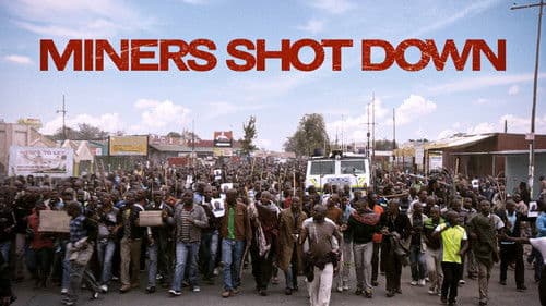 Miners Shot Down Bild 2