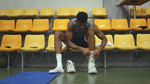 Giannis: The Marvelous Journey Bild 7