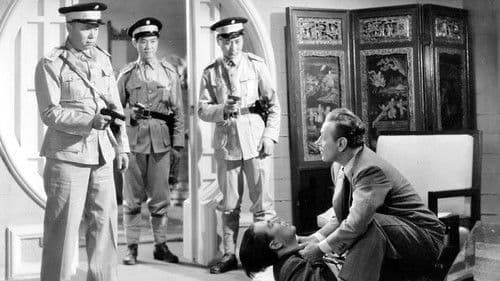 Die Bestie von Shanghai Bild 2