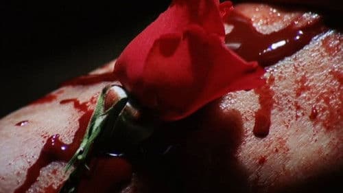 Der Rosenkönig Bild 5