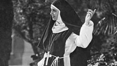 Elisabeth und der Narr Bild 1