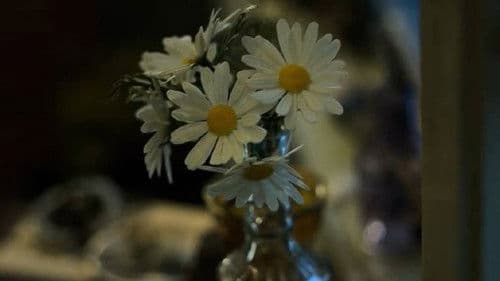 Eine wie Alaska Bild 8