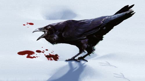 Ein einfacher Plan Bild 6