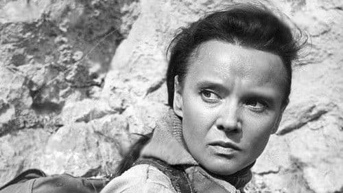 Белый взрыв Bild 1