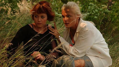 Caught in the Headlights Bild 1