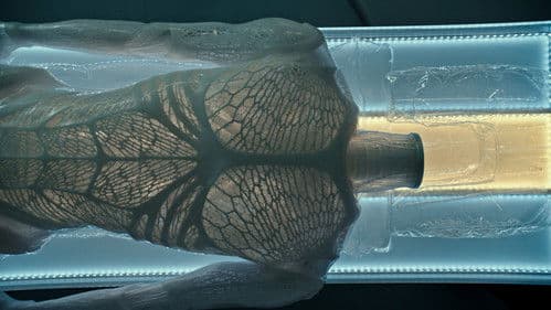 Alien: Covenant - Meet Walter Bild 3