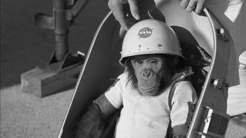 One Small Step: The Story of the Space Chimps Bild 1