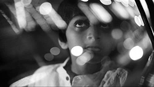 A Billion Colour Story Bild 4