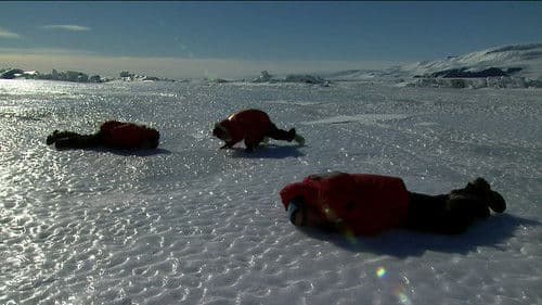 Begegnungen am Ende der Welt Bild 7